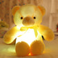 🎄❤️Christmas offer: 66% discount 🧸Teddy bear, colourful LED light, soft toys