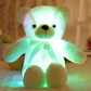 🎄❤️Christmas offer: 66% discount 🧸Teddy bear, colourful LED light, soft toys