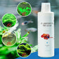 🎁 Hot Sale 50% OFF 🔥Effective Algae Control for Aquarium