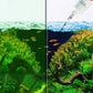🎁 Hot Sale 50% OFF 🔥Effective Algae Control for Aquarium