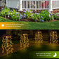 💐50% OFF ! Solar Garden Lights – Warm & Inviting Glow for Patio ✨🏠【Limited Offer】
