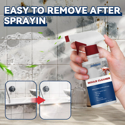 Anti-mould Cleaning Foam Spray