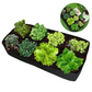 ⏳Limited-time 58% off⏰Divided Fabric Grow Bags for Plants🌱