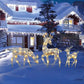 LED Christmas Reindeer Set with Bow – Decorative Reindeer Family for Indoor and Outdoor