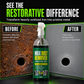 🔧 LIMITED-TIME 50% OFF ✨ 3-in-1 Rust Remover & Phosphating Agent — Degrease, Remove & Prevent 💨